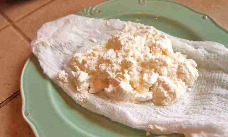 How to do cottage cheese for the child